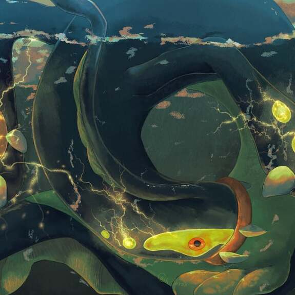 Eelektross art by ferox